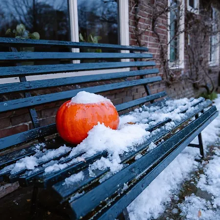 Bed & Breakfast Wolfershuus Zelhem