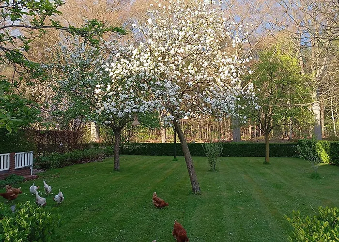 Bed & Breakfast Wolfershuus 3*